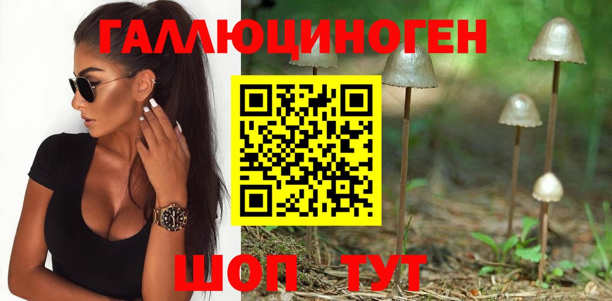 Галлюциногенные грибы Psilocybine cubensis  Галлюциногенные грибы ЛСД  Будённовск  Вход с VPN 
