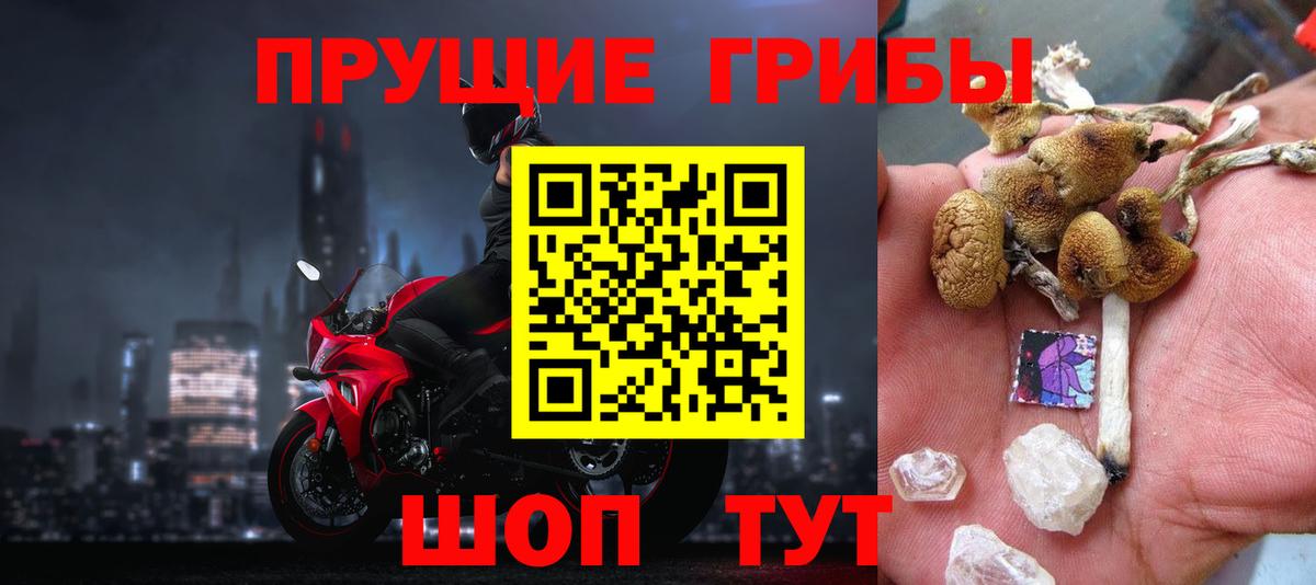 Псилоцибиновые грибы MAGIC MUSHROOMS Будённовск