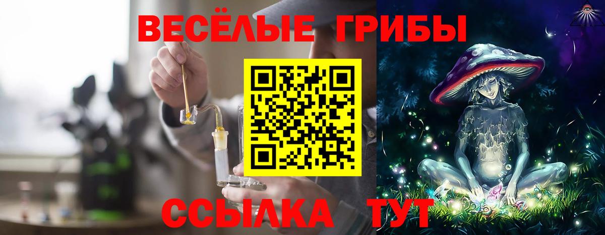 Галлюциногенные грибы мицелий Будённовск